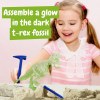 Fossil Excavation Kit IV. Jeu éducatif livré avec un sac cadeau en non-tissé (80 g/m²)