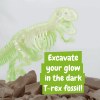 Fossil Excavation Kit IV. Jeu éducatif livré avec un sac cadeau en non-tissé (80 g/m²)