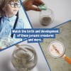 Jurassic Pets Kit I. Jeu éducatif pour enfants