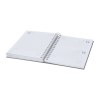 Agenda - Sinclex