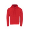 Sweat-Shirt à Capuche Adulte - Dretius