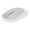 Souris - Doryt RCS