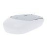 Souris - Doryt RCS