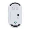 Souris - Doryt RCS