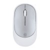 Souris - Doryt RCS
