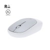 Souris - Doryt RCS