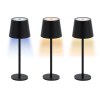 Lampe - Tanik