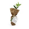 Mini plant d'arbre pot fibre de bois