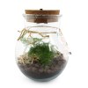 Terrarium lumineux