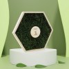 Cadre mousse hexagonal