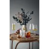Ribbio Verre à Champagne 255 ml