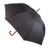 Tonnerre Tonnerre parapluie