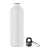 REBIG MOSS - Bouteille monocouche 750ml