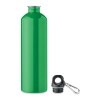 REBIG MOSS - Bouteille monocouche 750ml