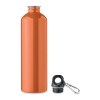 REBIG MOSS - Bouteille monocouche 750ml