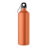 REBIG MOSS - Bouteille monocouche 750ml