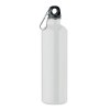 REBIG MOSS - Bouteille monocouche 750ml