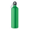 REBIG MOSS - Bouteille monocouche 750ml