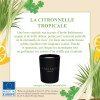 Bougie parfumée