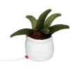 Peluche aloe vera
