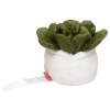 Peluche succulent