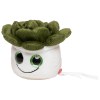 Peluche succulent