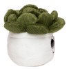 Peluche succulent