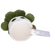 Peluche succulent