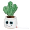 Peluche cactus