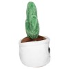 Peluche cactus