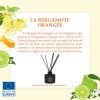 Diffuseur