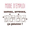 Kit message "Faites un voeu" - Pissenlit