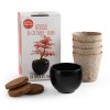 Bonsaï garden set Erable rouge