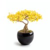 Bonsaï garden set Ginkgo