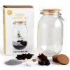 Terrarium DIY Sapin de Noël