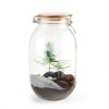 Terrarium DIY Sapin de Noël