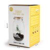 Terrarium DIY Sapin de Noël