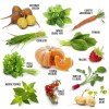 Coffret 12 sachets de graines Je jardine en permaculture