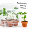 Serre en PET 6 pots - Fraisiers