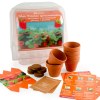 Serre en PET 6 pots - Fraisiers
