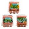 Serre en PET 6 pots - Fraisiers
