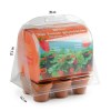 Serre en PET 6 pots - Fraisiers