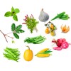 Enveloppe 12 sachets Légumes insolites à semer
