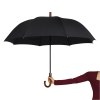 Parapluie de golf automatique EARL
