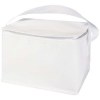 Sac isotherme Spectrum non tissé recyclé GRS de 4L pour 6 canettes