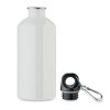 REMID MOSS - Bouteille monocouche 500ml