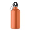 REMID MOSS - Bouteille monocouche 500ml
