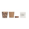 MINT KIT - Kit de graines de menthe