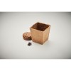 MINT KIT - Kit de graines de menthe