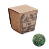 MINT KIT - Kit de graines de menthe